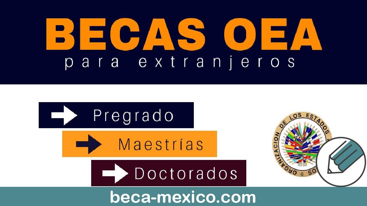 Becas Para Latinoamericanos Para Estudiar En Estados Unidos Oea Beca